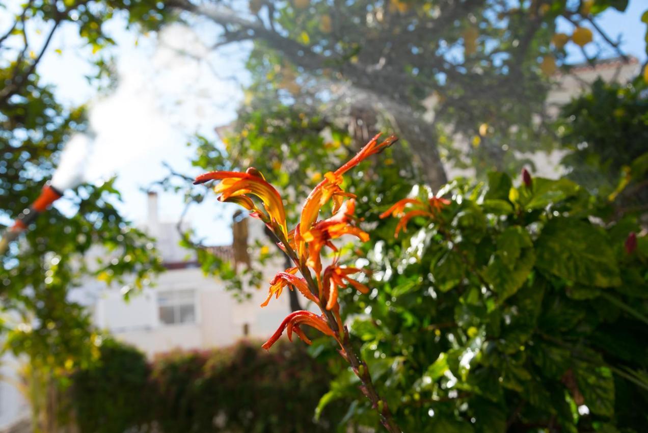Apartamento Flat With A Garden In Belem Lisboa Exterior foto